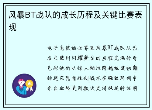 风暴BT战队的成长历程及关键比赛表现